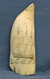 Whales Tooth Scrimmed On Each Side with British Naval Ships