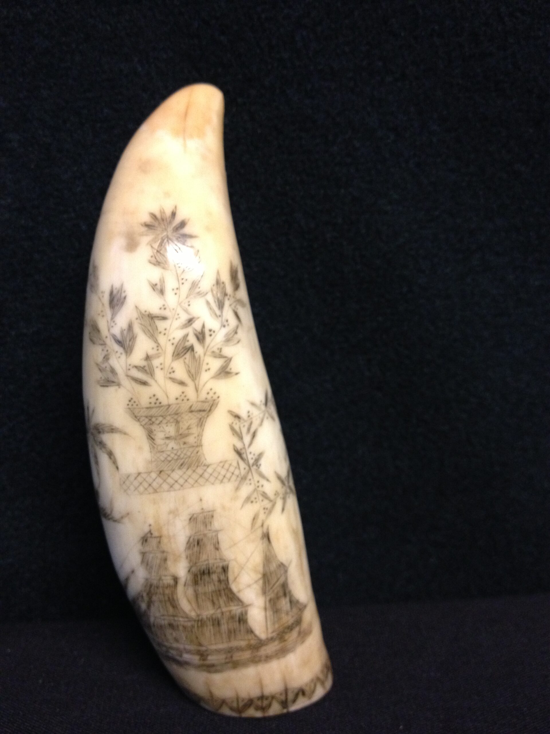 Scrimshaw Whale’s Tooth with Ship, Basket of Flowers and Memorial