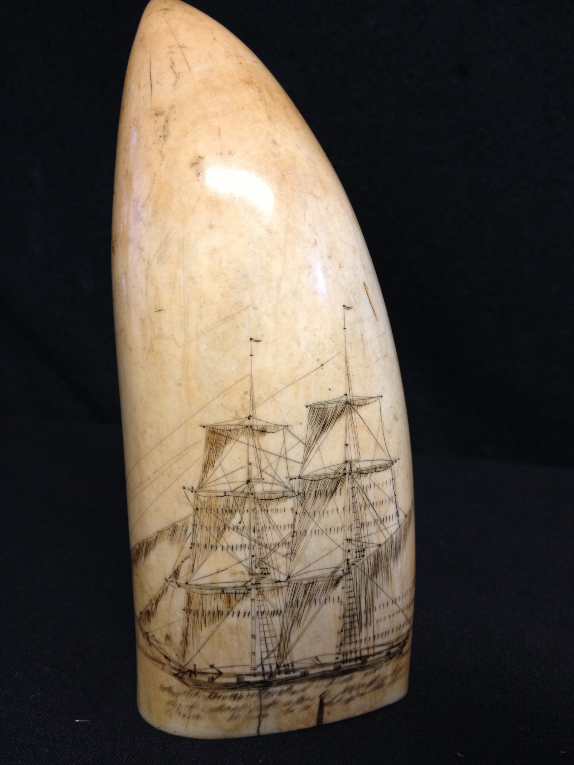 Scrimshaw of an American Ship in a Floral Wreath