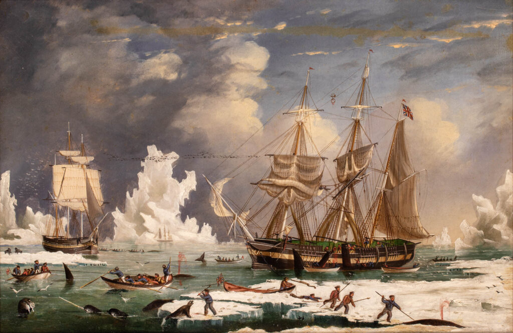 Ship HARMONY of Hull